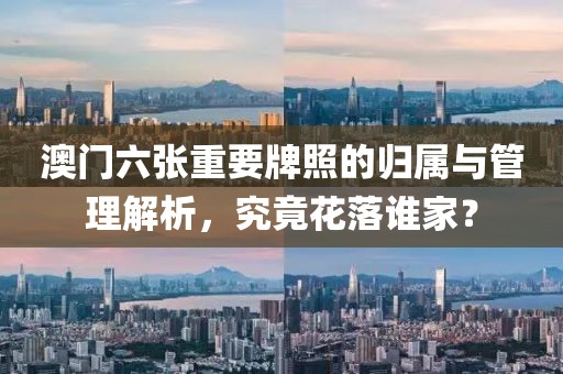 澳门六张重要牌照的归属与管理解析，究竟花落谁家？