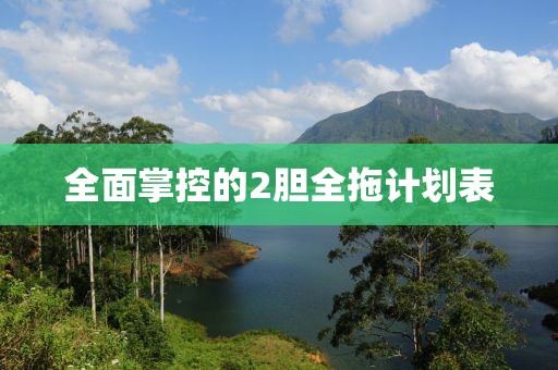 全面掌控的2胆全拖计划表