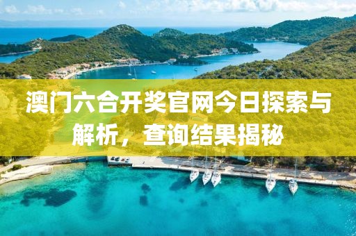 澳门六合开奖官网今日探索与解析，查询结果揭秘
