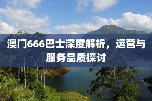 澳门666巴士深度解析，运营与服务品质探讨