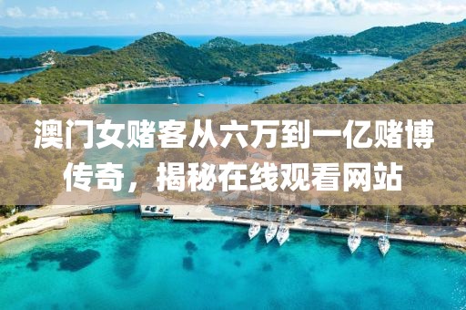澳门女赌客从六万到一亿赌博传奇，揭秘在线观看网站