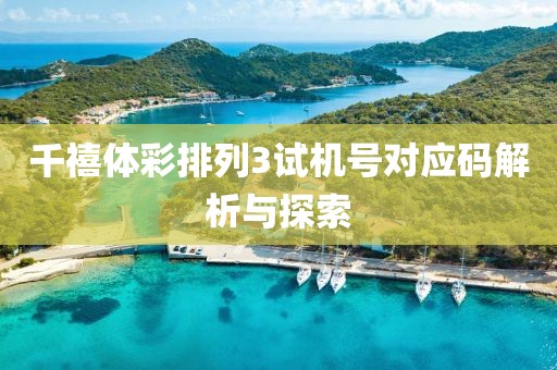 千禧体彩排列3试机号对应码解析与探索