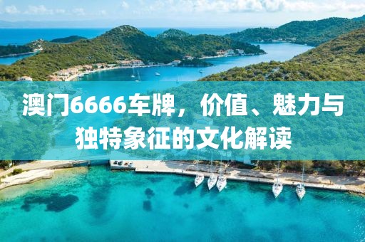澳门6666车牌，价值、魅力与独特象征的文化解读