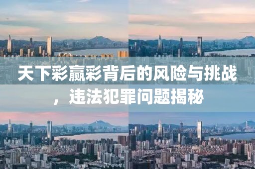 天下彩赢彩背后的风险与挑战，违法犯罪问题揭秘