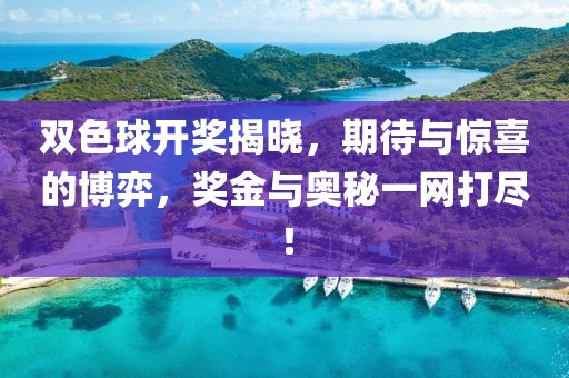 双色球开奖揭晓，期待与惊喜的博弈，奖金与奥秘一网打尽！