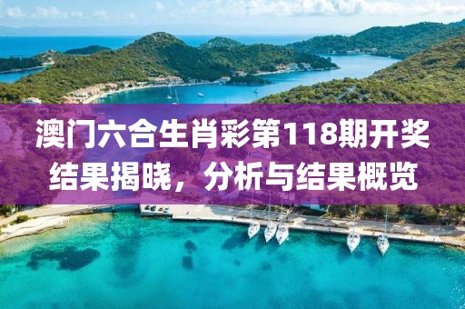 澳门六合生肖彩第118期开奖结果揭晓，分析与结果概览