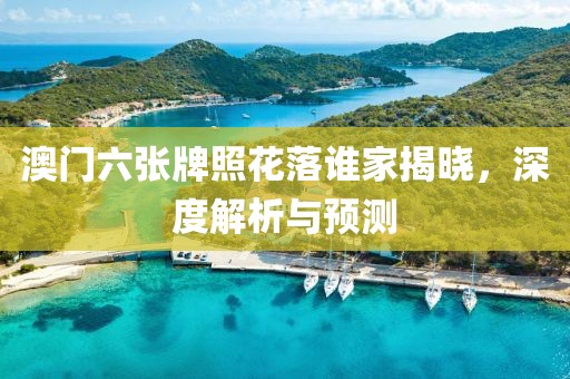 澳门六张牌照花落谁家揭晓，深度解析与预测