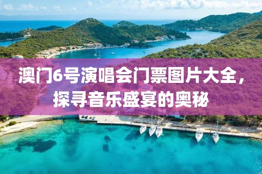澳门6号演唱会门票图片大全，探寻音乐盛宴的奥秘