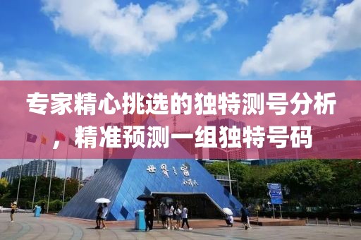 专家精心挑选的独特测号分析，精准预测一组独特号码