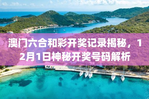 澳门六合和彩开奖记录揭秘，12月1日神秘开奖号码解析