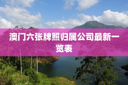 澳门六张牌照归属公司最新一览表
