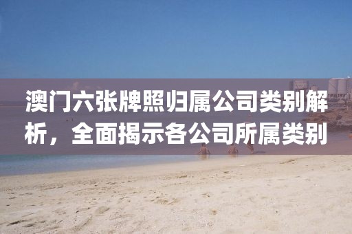 澳门六张牌照归属公司类别解析，全面揭示各公司所属类别