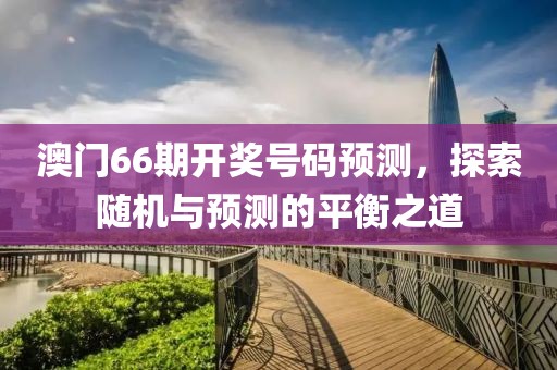 澳门66期开奖号码预测，探索随机与预测的平衡之道