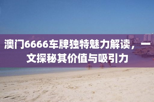 澳门6666车牌独特魅力解读，一文探秘其价值与吸引力