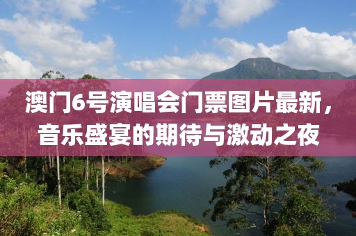 澳门6号演唱会门票图片最新，音乐盛宴的期待与激动之夜
