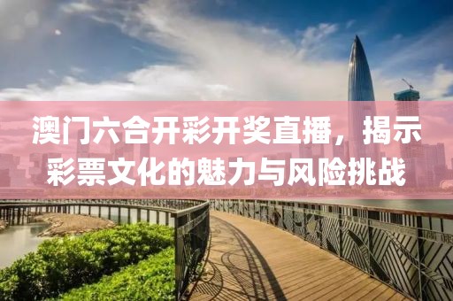 澳门六合开彩开奖直播，揭示彩票文化的魅力与风险挑战