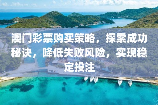 澳门彩票购买策略，探索成功秘诀，降低失败风险，实现稳定投注