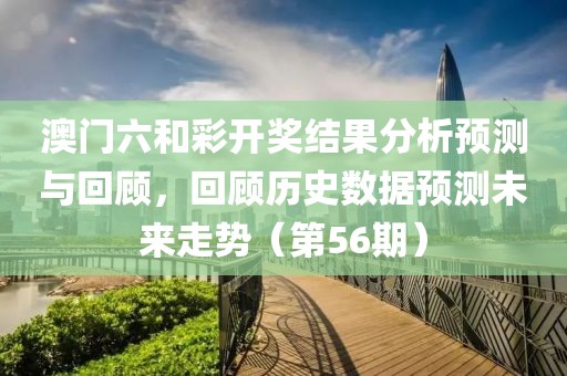 澳门六和彩开奖结果分析预测与回顾，回顾历史数据预测未来走势（第56期）