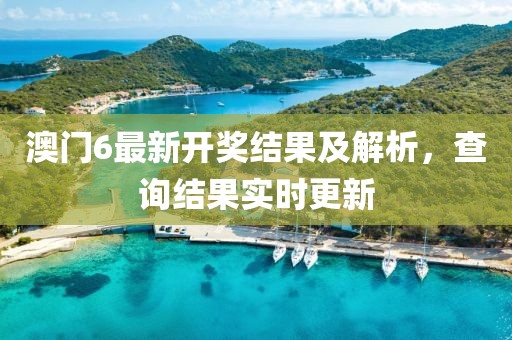 澳门6最新开奖结果及解析，查询结果实时更新