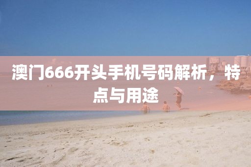 澳门666开头手机号码解析，特点与用途