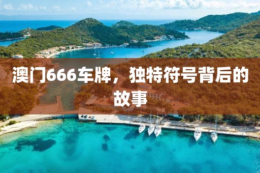澳门666车牌，独特符号背后的故事