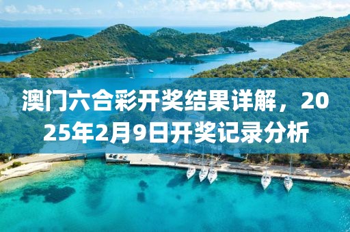 澳门六合彩开奖结果详解，2025年2月9日开奖记录分析