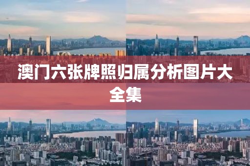 澳门六张牌照归属分析图片大全集