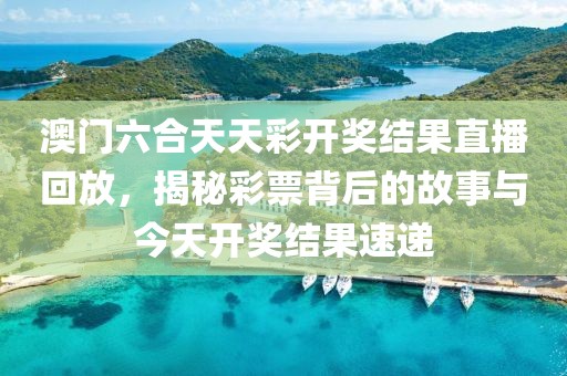 澳门六合天天彩开奖结果直播回放，揭秘彩票背后的故事与今天开奖结果速递