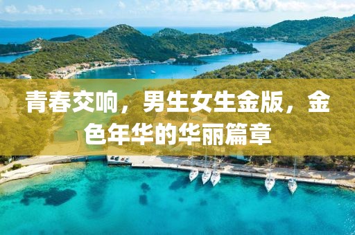 青春交响，男生女生金版，金色年华的华丽篇章
