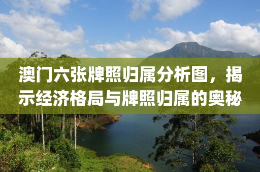 澳门六张牌照归属分析图，揭示经济格局与牌照归属的奥秘