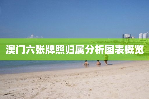 澳门六张牌照归属分析图表概览