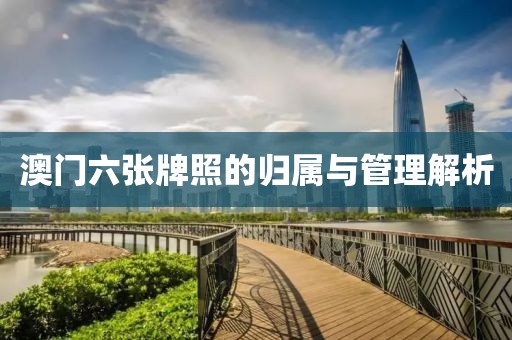 澳门六张牌照的归属与管理解析