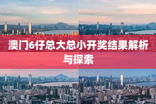 澳门6仔总大总小开奖结果解析与探索
