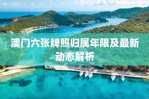 澳门六张牌照归属年限及最新动态解析