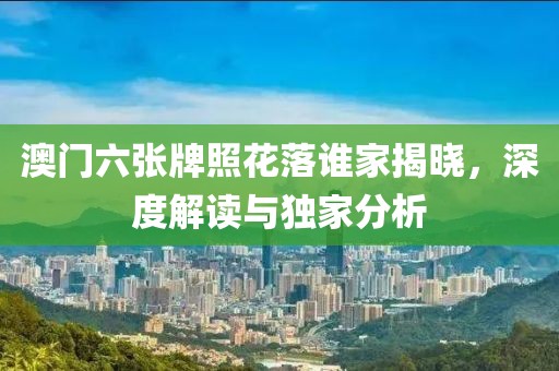 澳门六张牌照花落谁家揭晓，深度解读与独家分析