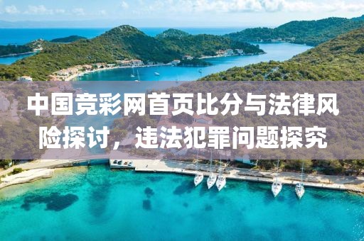 中国竞彩网首页比分与法律风险探讨，违法犯罪问题探究