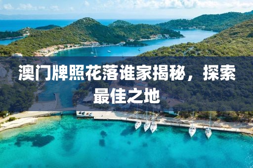 澳门牌照花落谁家揭秘，探索最佳之地