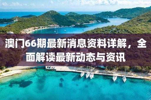 澳门66期最新消息资料详解，全面解读最新动态与资讯