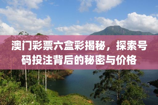 澳门彩票六盒彩揭秘，探索号码投注背后的秘密与价格
