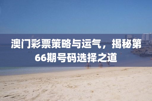 澳门彩票策略与运气，揭秘第66期号码选择之道