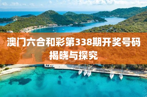 澳门六合和彩第338期开奖号码揭晓与探究