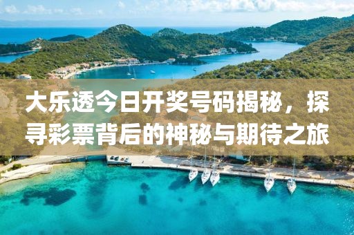 大乐透今日开奖号码揭秘，探寻彩票背后的神秘与期待之旅