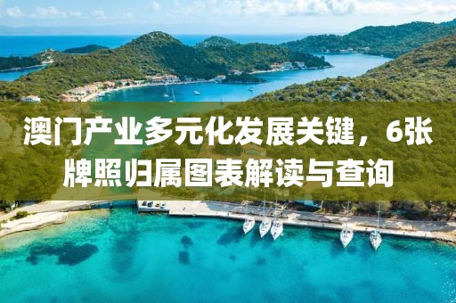 澳门产业多元化发展关键，6张牌照归属图表解读与查询