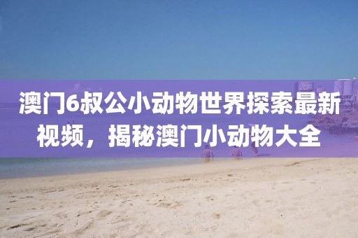 澳门6叔公小动物世界探索最新视频，揭秘澳门小动物大全