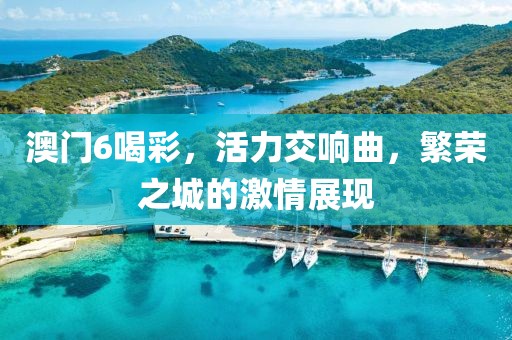 澳门6喝彩，活力交响曲，繁荣之城的激情展现