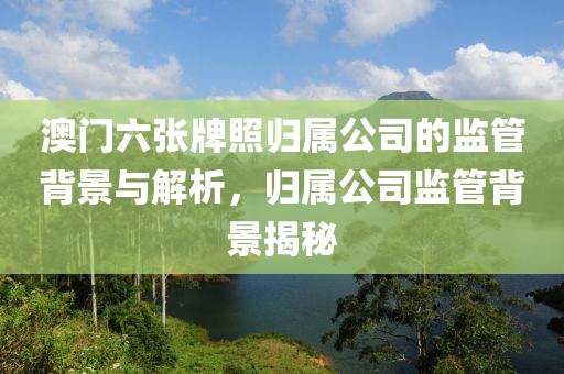 澳门六张牌照归属公司的监管背景与解析，归属公司监管背景揭秘