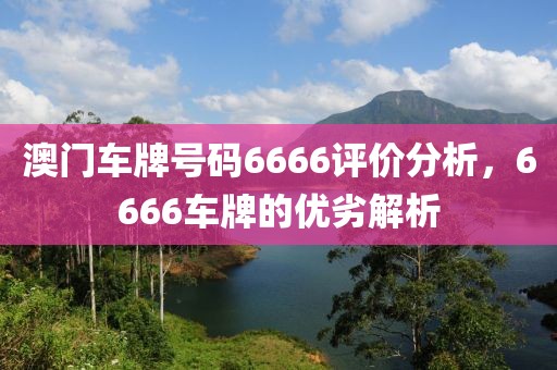 澳门车牌号码6666评价分析，6666车牌的优劣解析