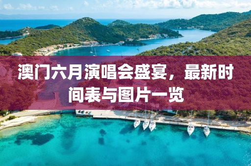 澳门六月演唱会盛宴，最新时间表与图片一览