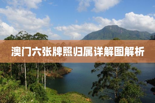 澳门六张牌照归属详解图解析