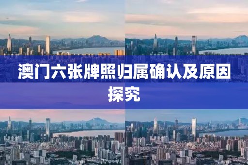 澳门六张牌照归属确认及原因探究
